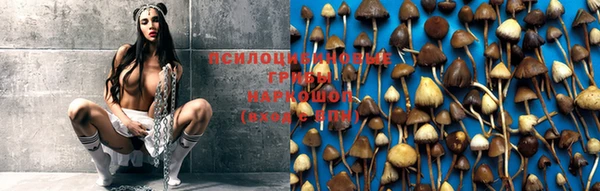 прущая мука Абинск