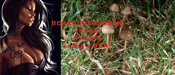 2c-b Абдулино