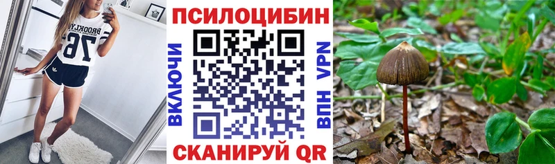 дарнет шоп  Воронеж  мега маркетплейс  Псилоцибиновые грибы MAGIC MUSHROOMS 