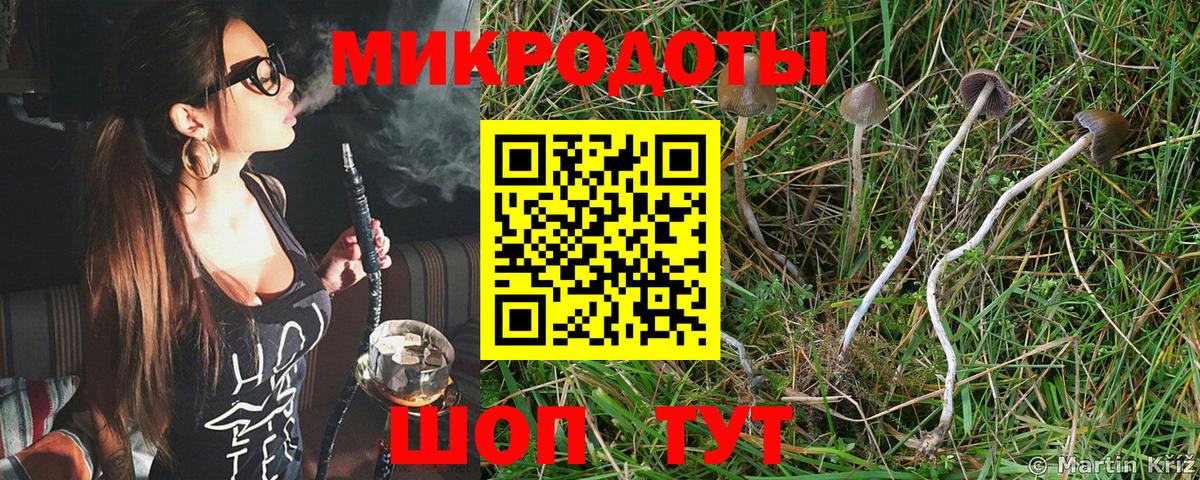 Галлюциногенные грибы MAGIC MUSHROOMS Воронеж