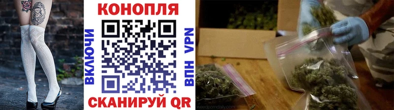 Конопля OG Kush  Воронеж 